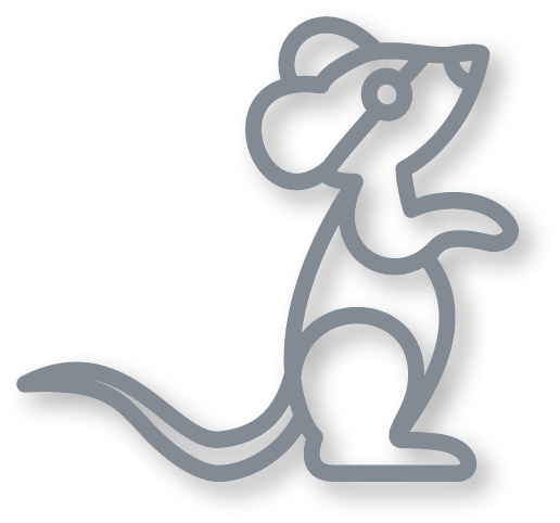 de muis in de kleur grijs uit de plintdieren collectie