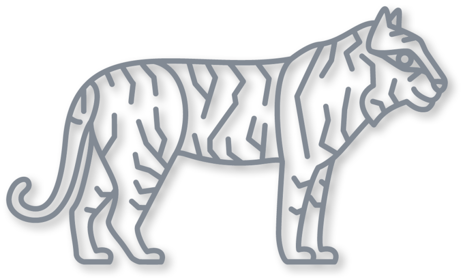 De tijger in de kleur grijs uit de plintdieren collectie.