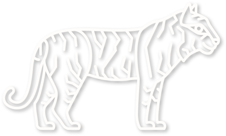 De tijger in de kleur wit uit de plintdieren collectie.